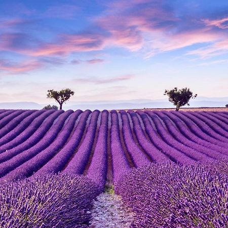 La Maison Des Collines Allemagne-en-Provence Luaran gambar