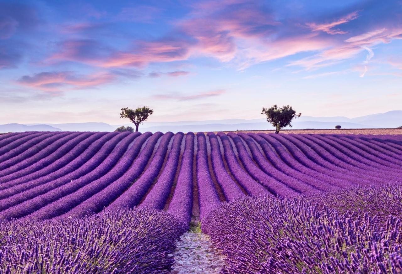 La Maison Des Collines Allemagne-en-Provence Luaran gambar