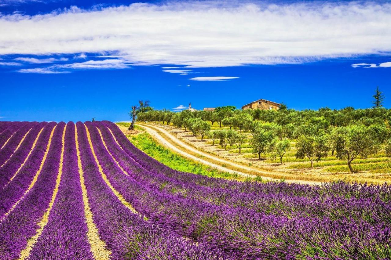 La Maison Des Collines Allemagne-en-Provence Luaran gambar